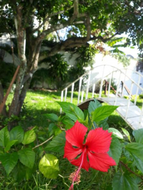 Secret Recreio